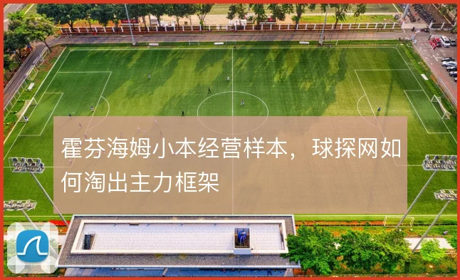 霍芬海姆小本经营样本,球探网如何淘出主力框架