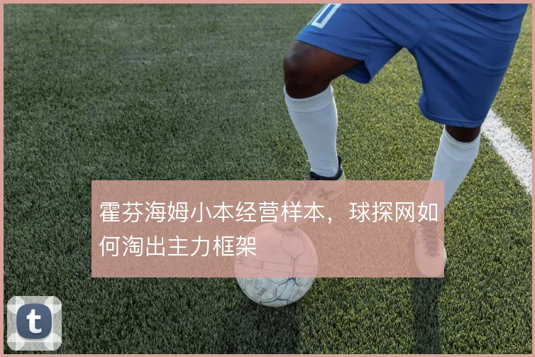 霍芬海姆小本经营样本,球探网如何淘出主力框架